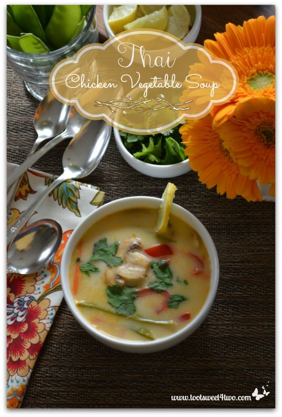 Thai Chicken Vegetable Soup Pinterest 2