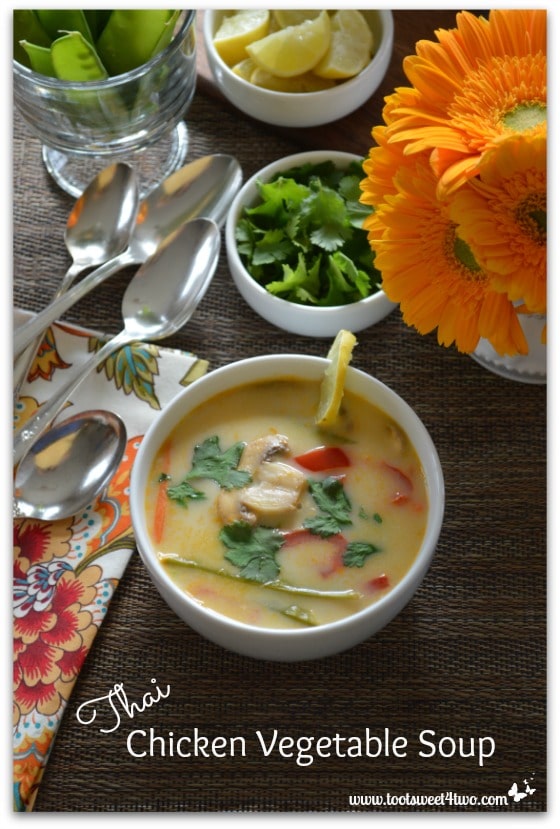 Thai Chicken Vegetable Soup Pinterest 3