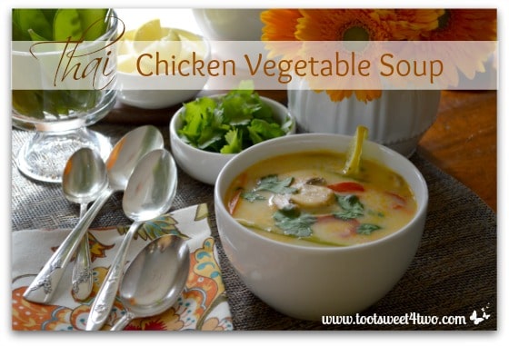 Thai Chicken Vegetable Soup cover