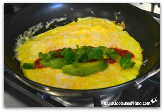 Omelet with cheese, salsa, avocado and cilantro