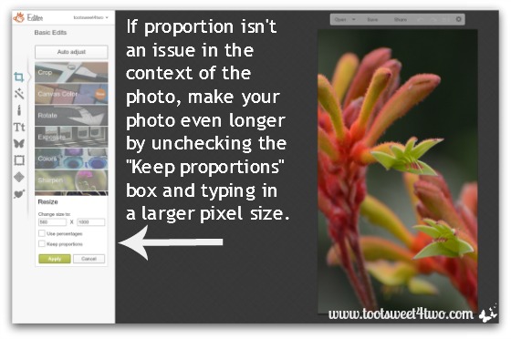 Uncheck the Keep Proporations box in PicMonkey