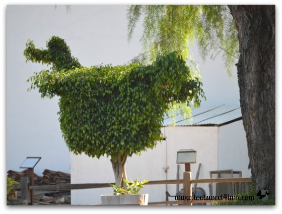 Dodo Bird topiary at San Diego Mission de Acala - 42 Shades of Green
