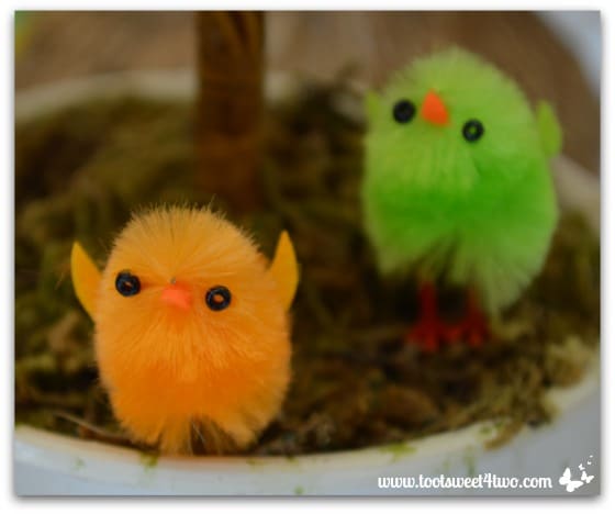 Tiny little chicks - Decorating the Table for an Easter Celebration