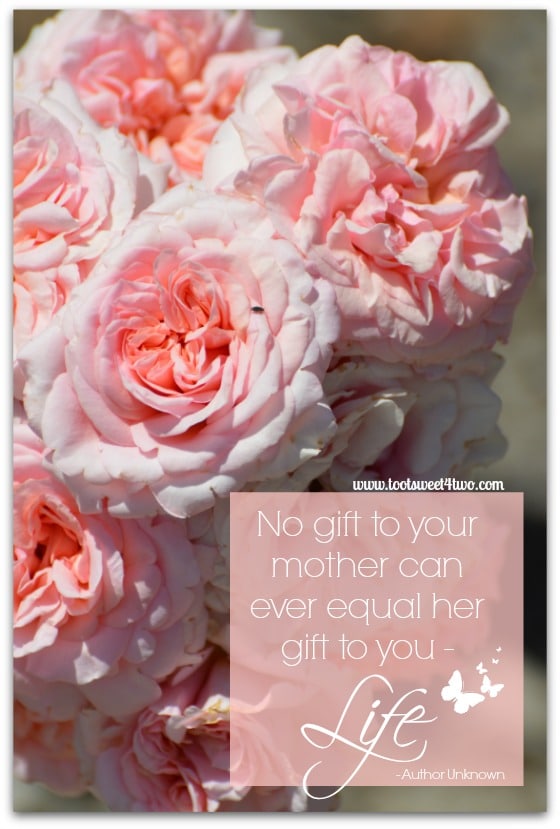 A Mother's Gift cover