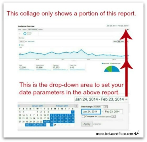 Audience Report Overview - Google Analytics - A Peek into Reports