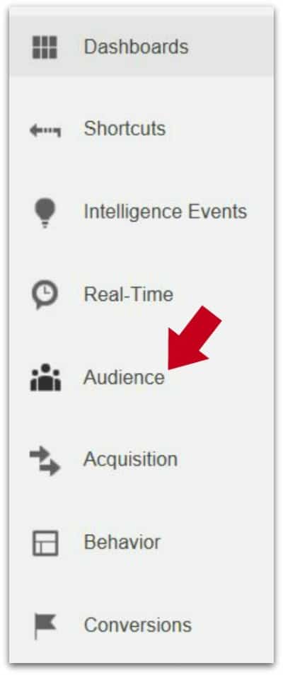 Google Analytics - Analyzing and Understanding the Audience Report - Audience Report with red arrow