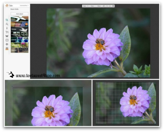 PicMonkey Basics - Edit a Photo - Pic 2 - Upload, Crop, Rotate