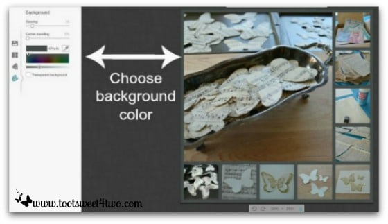 PicMonkey Basics - Pic 5 - Create a Collage - Background Color
