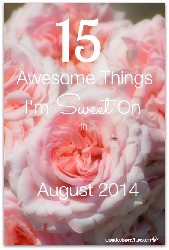 15 Awesome Things I'm Sweet On in August 2014 cover