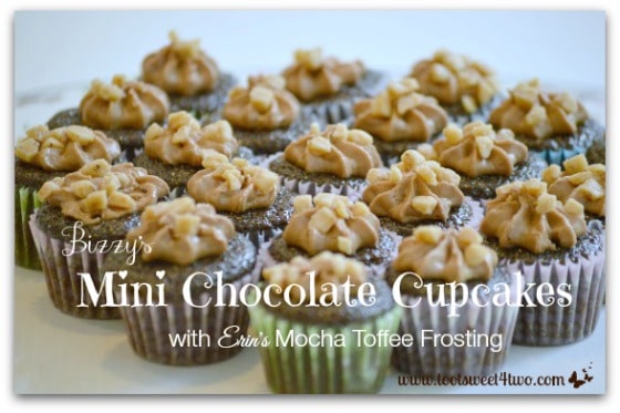 Bizzy's Mini Chocolate Cupcakes with Erin's Mocha Toffee Frosting - Pic 2