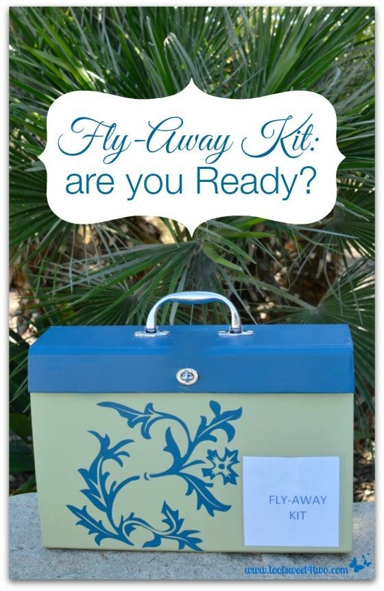 Fly Away Kit are you Ready Pic 1