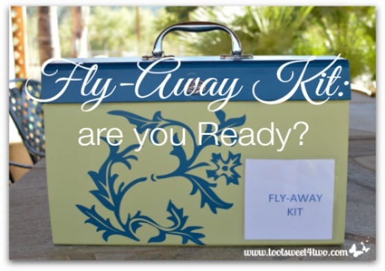 Fly Away Kit are you Ready Pic 2