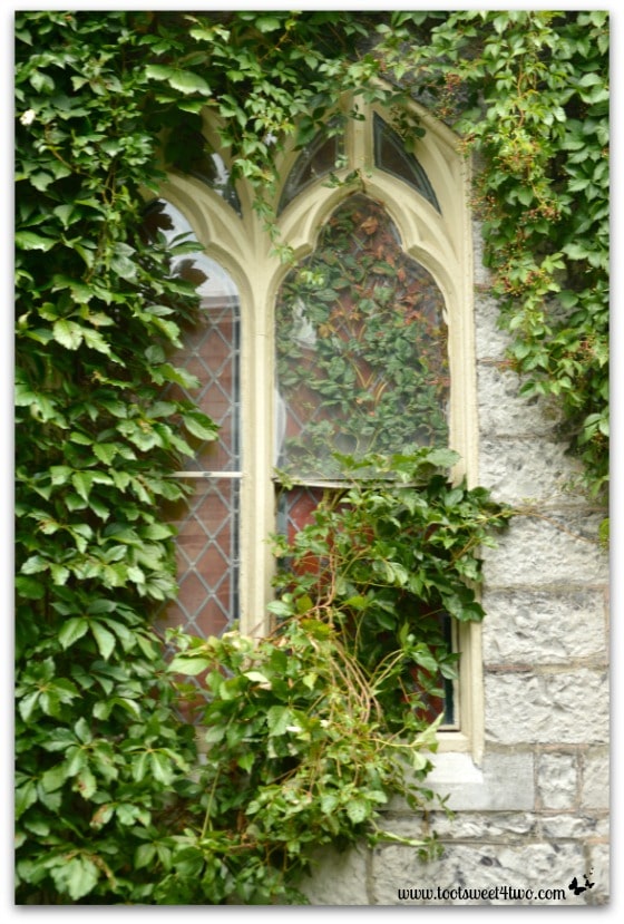Ivy covered window at Hogwarts on the Lake