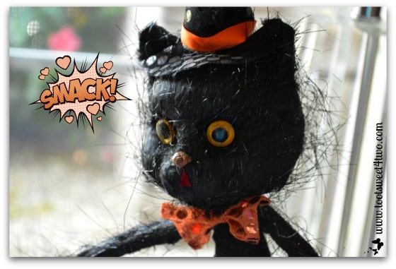 Pic 8 Black Halloween Cat close-up