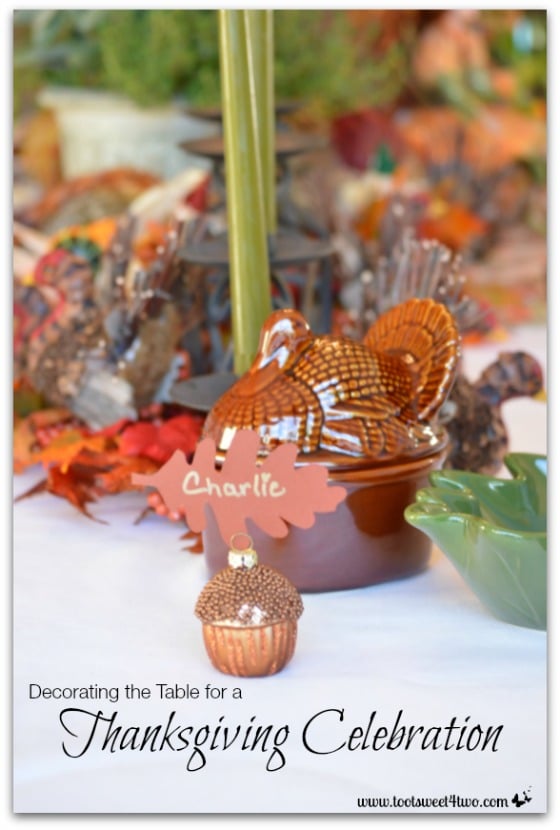 Decorating the Table for a Thanksgiving Celebration cover