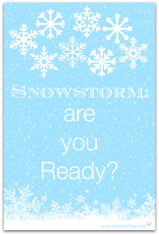 Snowstorm are you Ready cover