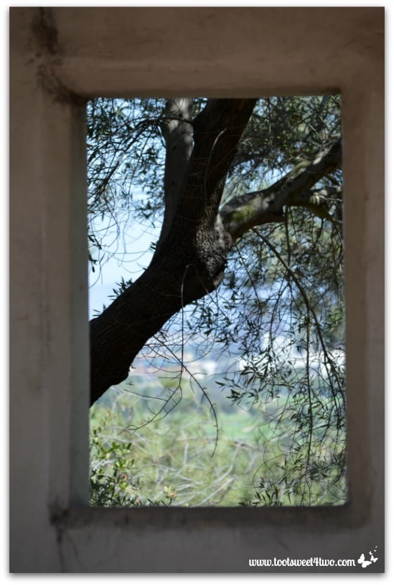Through a portico window, Serra Museum, Presidio Park, San Diego