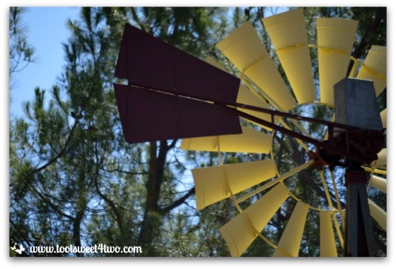 Windmill in the trees - Mission Santa Ysabel