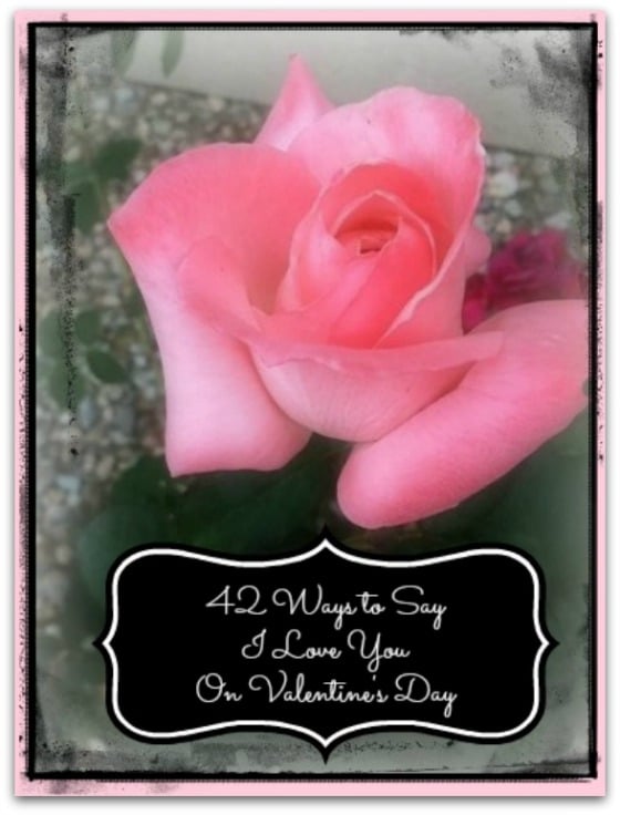 42 Ways to Say I Love You on Valentine's Day Rose