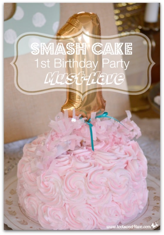 Smash Cake cover