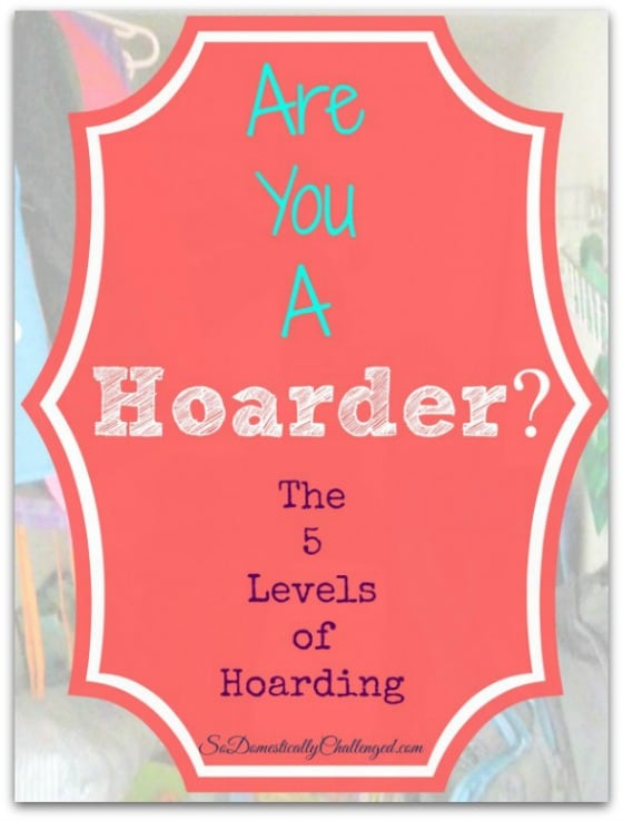 So Domestically Challenged - Are You a Hoarder - 14 Awesome Things