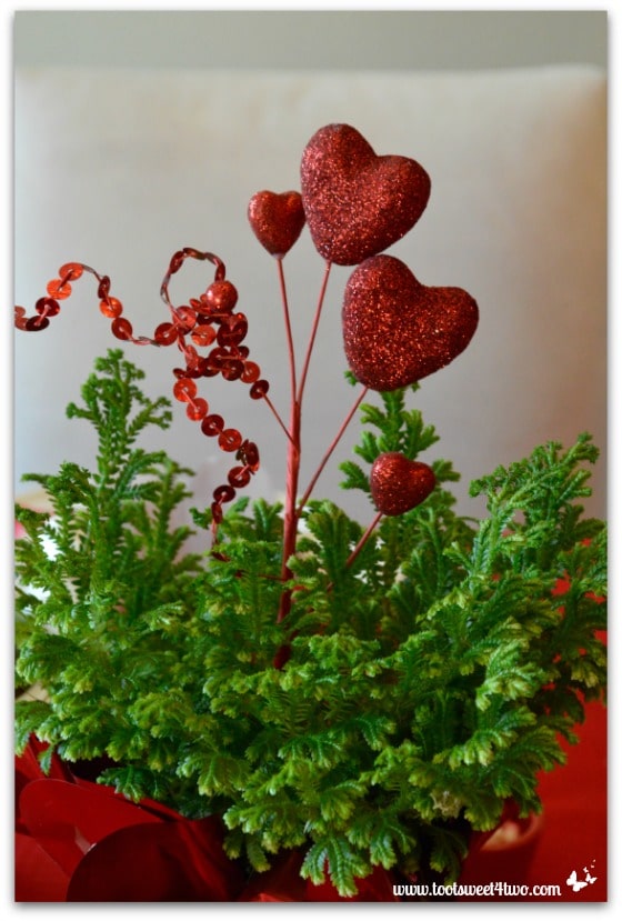 Valentine's Day heart-shaped pick and fern