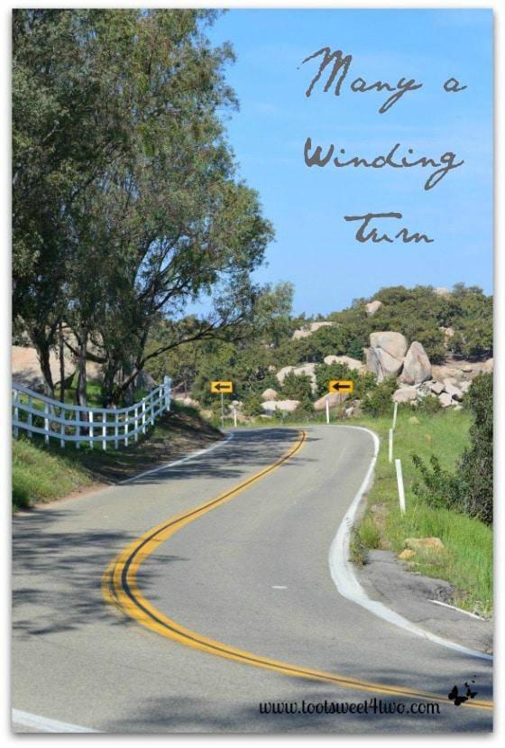 Many a Winding Turn - country road