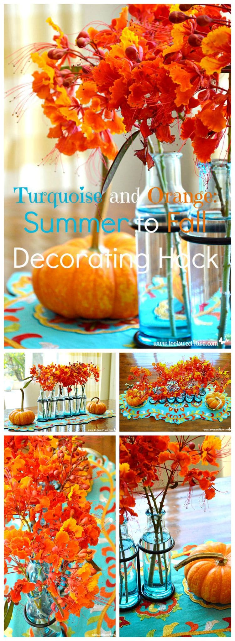 Turquoise and Orange Summer to Fall Decorating Hack Pinterest
