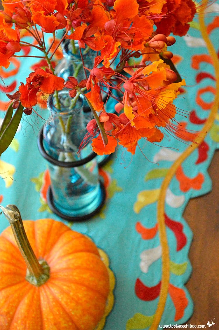 Turquoise runner and orange mini pumpkin and Red Mexican Bird of Paradise