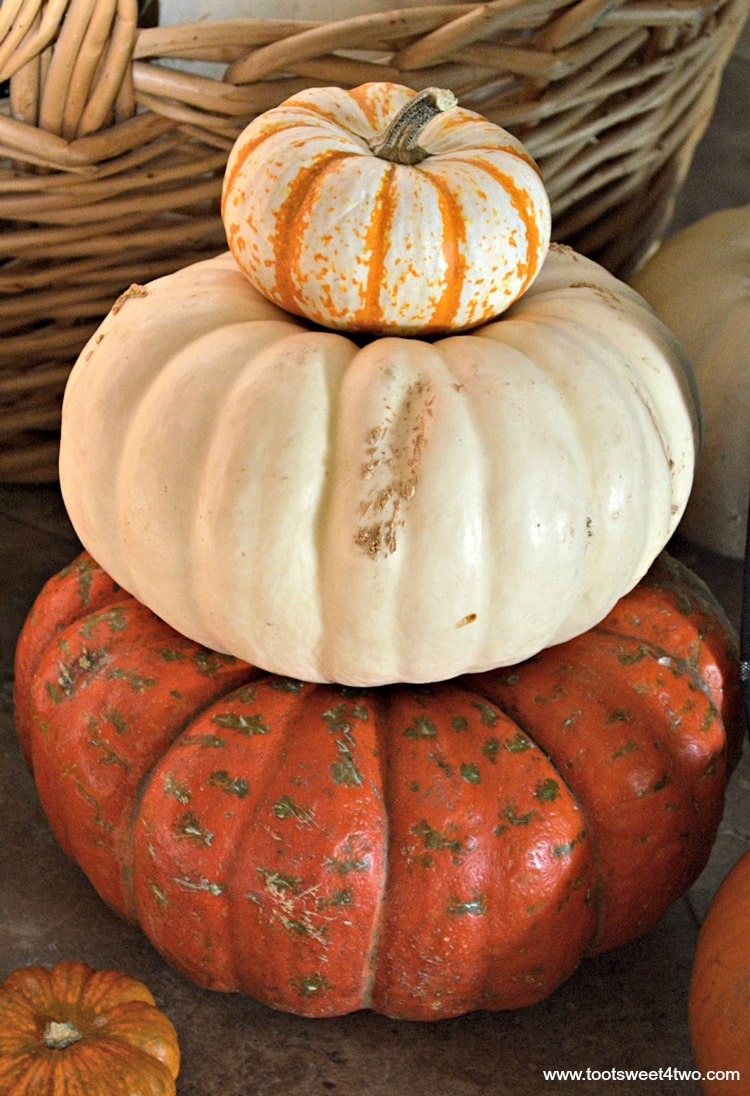 Cinderella pumpkin, White Ghost pumpkin and Lil' Pumpkemon pumpkin stacked on floor