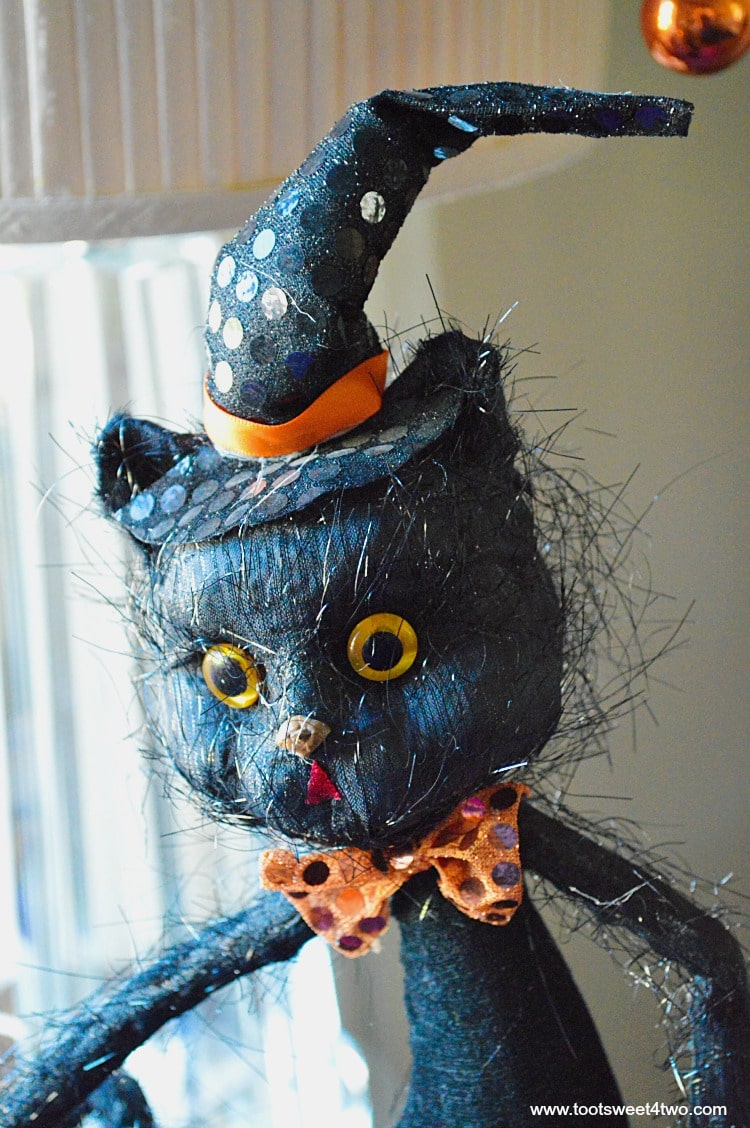 Halloween Black Cat close-up