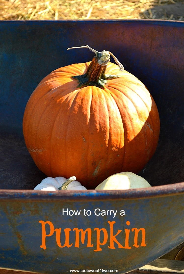 How to Carry a Pumpkin cover