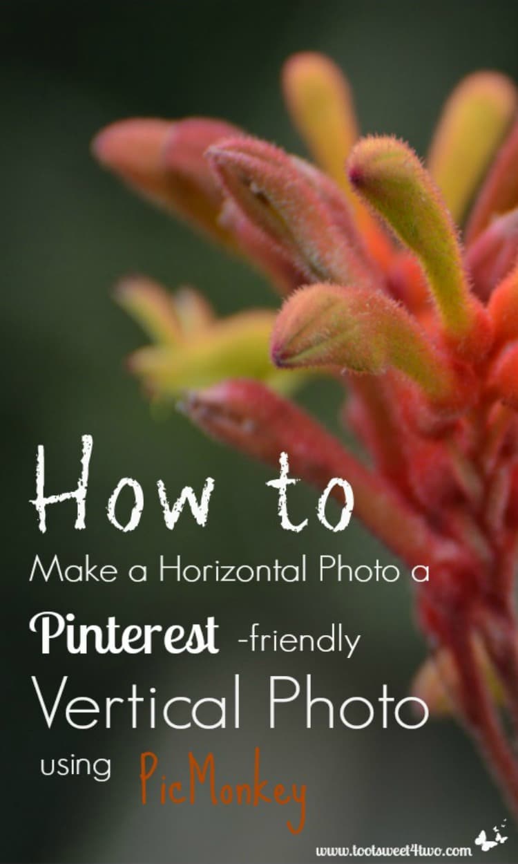 How to Make a Horizontal Photo a Pinterest-friendly Vertical Photo using PicMonkey 750x1250