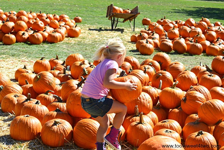 Princess Sweetie Pie hoisting a pumpkin with her knee