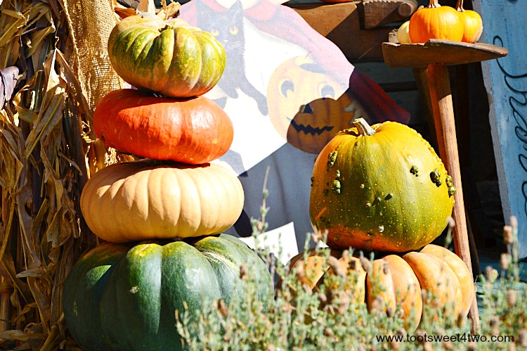 Pumpkins stacked in a garden display