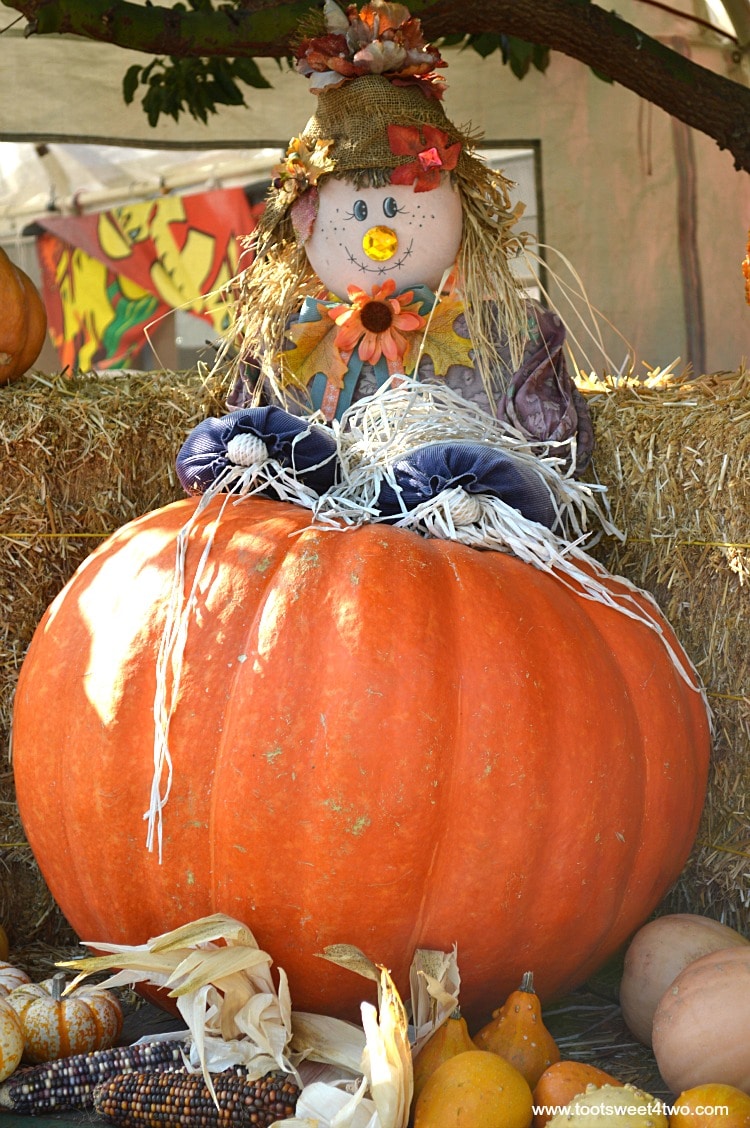 Scarecrow stacked on a Big Mac pumpkin