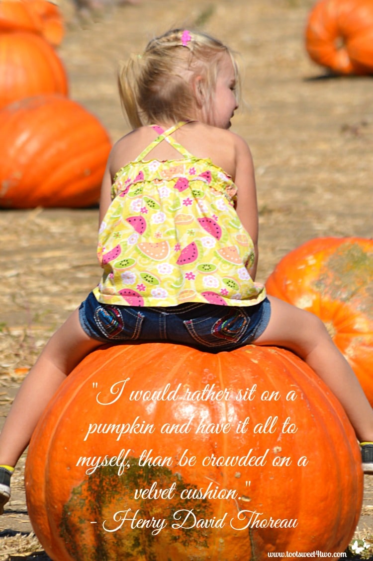 Sitting on a pumpkin - Pic 1