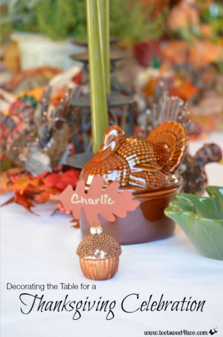 Decorating the Table for a Thanksgiving Celebration cover photo