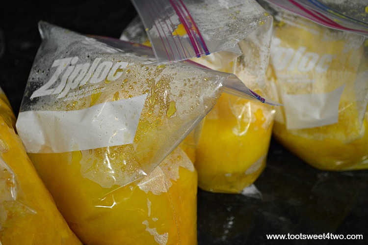 Pumpkin puree bagged for the freezer - Pic 21