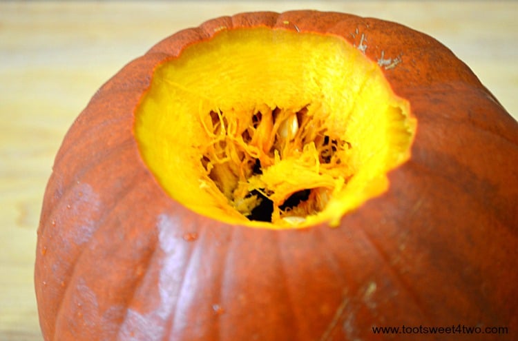 Stem removed from Pie Pumpkin - Pic 14
