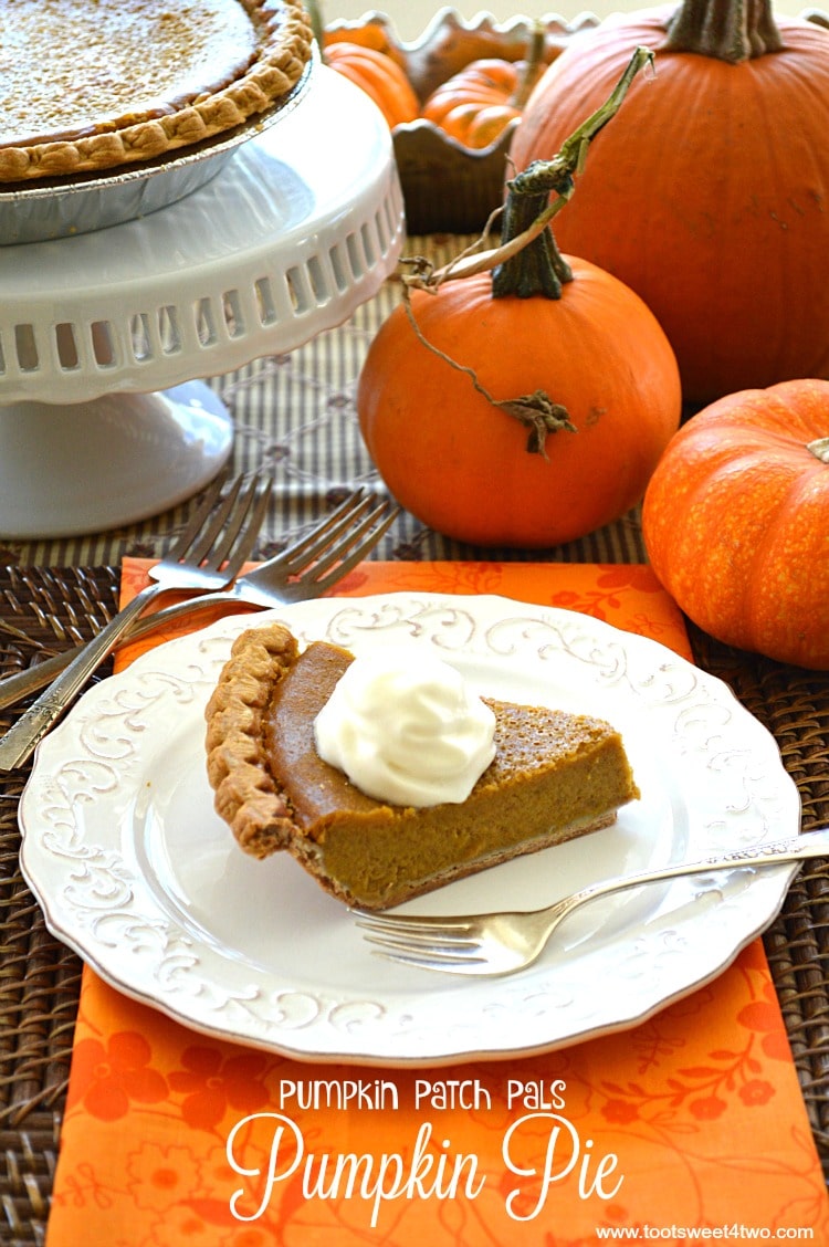 Thanksgiving Dessert - Pumpkin Patch Pals Pumpkin Pie
