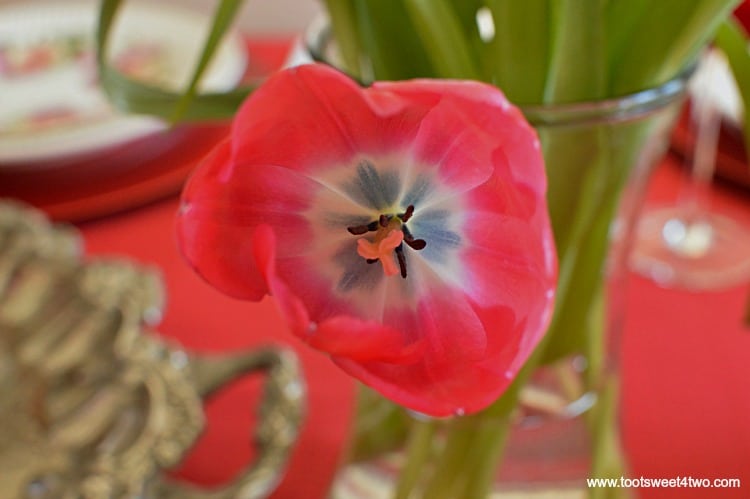 Red Tulip - Pic 6 - A Valentine's Day Tea Party Tablescape