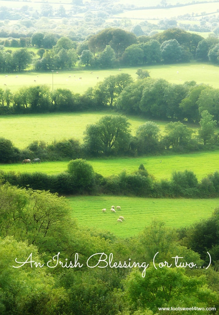 An Irish Blessing (or two) 750x1077