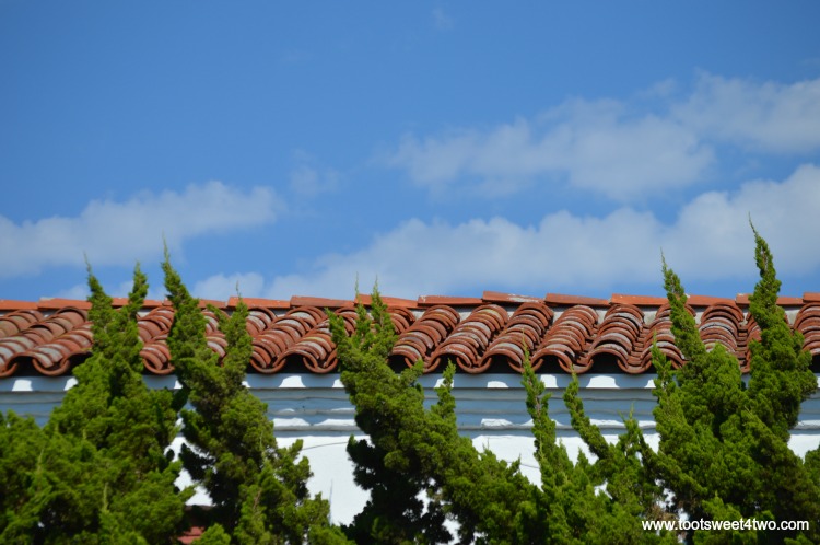 Cypress trees skimming the roofline at Old Mission San Luis Rey