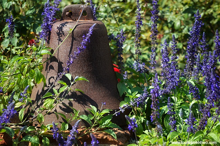 Mission Bell in lavender garden at Mission San Luis Rey