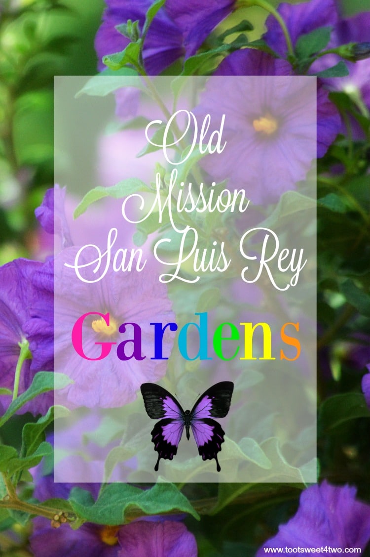 Old Mission San Luis Rey Gardens cover