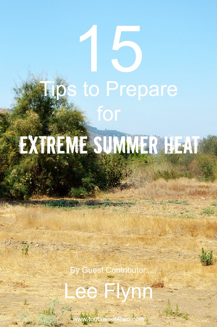 Summer is here and the weather is heating up! Beat the heat with these 15 Tips to Prepare for Extreme Summer Heat. | www.tootsweet4two.com