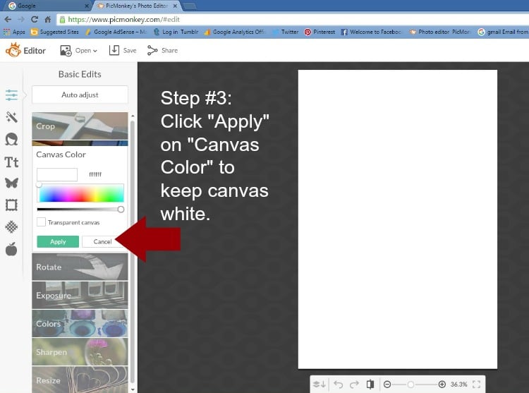 Step 3 - Click Apply on Canvas Color