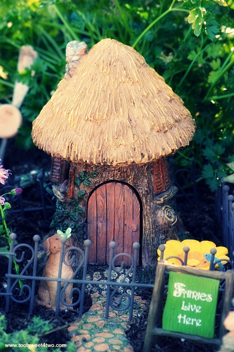 Have you ever wanted to create your own miniature fairy garden? A magical, mystical, otherworldly place full of miniature enchantment? Here you'll learn how to create a magical miniature fairy garden using collected whimsical fairy cottages, playful fairies, adorable wee animals, quirky fairy doors and fanciful fairy garden accessories. | www.tootsweet4two.com
