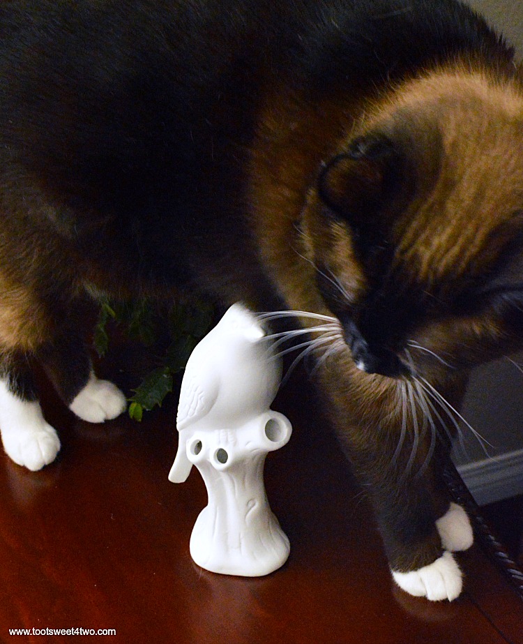 Coco hovers over the Bird Vase